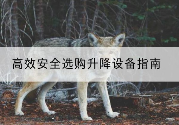长安升降货梯厂家推荐-*安全选购升降设备指南